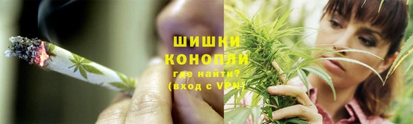 стаф Магас